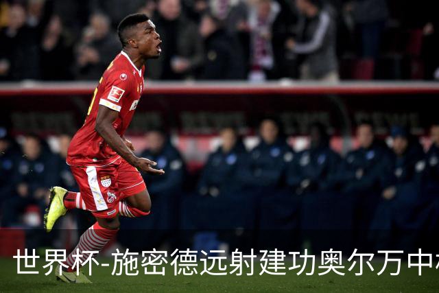 世界杯-施密德远射建功奥尔万中框 半场奥地利1-0约旦